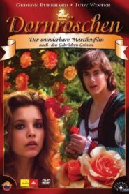 Sleeping Beauty 1990 on netflix