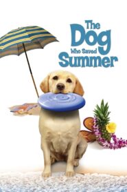 The Dog Who Saved Summer 2015 on netflix