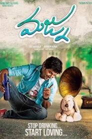 Majnu 2016 on netflix