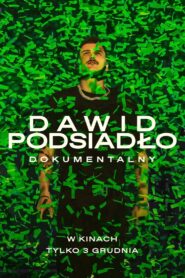 Dawid Podsiadło: The Tour 2024 on netflix