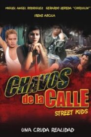 Chavos de La Calle 2001 on netflix