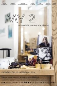 Us 2 2014 on netflix