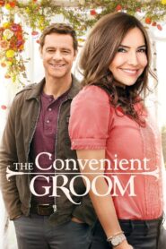 The Convenient Groom 2016 on netflix
