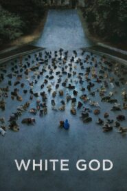 White God 2014 on netflix