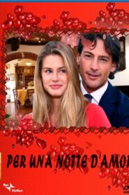 Per una notte d’amore 2008 on netflix