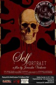Self Portrait 2012 on netflix