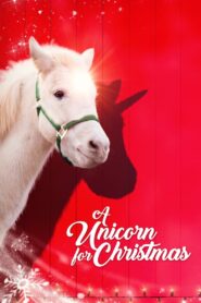 A Unicorn for Christmas 2022 on netflix
