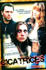 Scars 2005 on netflix