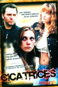 Scars 2005 on netflix
