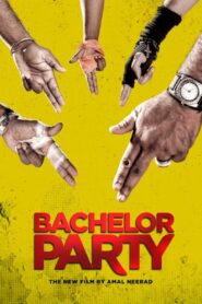 Bachelor Party 2012 on netflix