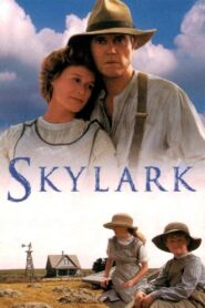 Skylark 1993 on netflix