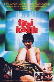 Screen of Love 1984 on netflix