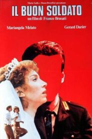 The Good Soldier 1982 on netflix