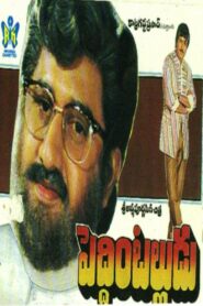 Peddinti Alludu 1991 on netflix