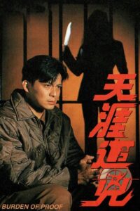 天涯追凶 1994 on netflix