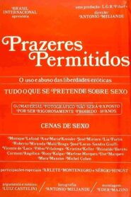 Prazeres Permitidos 1981 on netflix