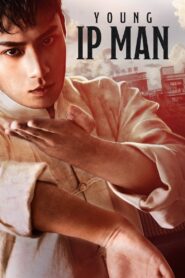 Young Ip Man: Crisis Time 2020 on netflix