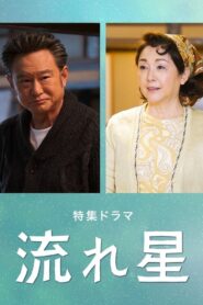 Nagareboshi 2021 on netflix