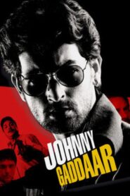 Johnny Gaddaar 2007 on netflix