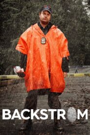 Backstrom 2015 on netflix
