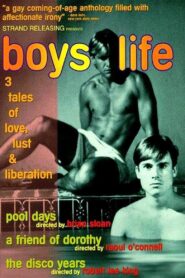 Boys Life 1994 on netflix