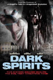 Dark Spirits 2008 on netflix