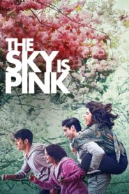 The Sky Is Pink 2019 on netflix