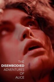 The Disembodied Adventures of Alice 2024 on netflix