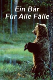 Ein Bär für alle Fälle 1998 on netflix