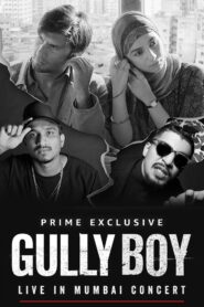 Gully Boy: Live In Concert 2019 on netflix
