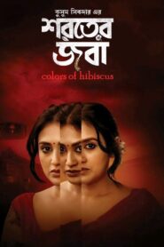 Colours of Hibiscus 2024 on netflix