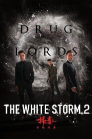 The White Storm 2: Drug Lords 2019 on netflix