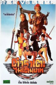 Kongfu Kids 1991 on netflix
