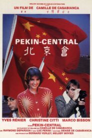 Pékin Central 1986 on netflix