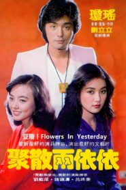 Errant Love 1981 on netflix