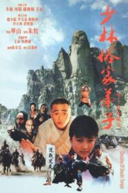 Disciples Of Shaolin 1985 on netflix