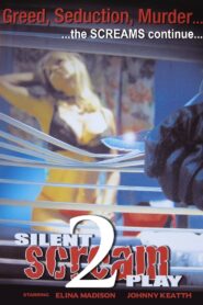 Silent Screamplay II 2006 on netflix