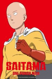 One-Punch Man 2015 on netflix