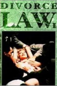 Divorce Law 1993 on netflix