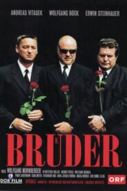 Brothers 2002 on netflix