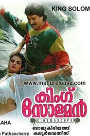 King Solomon 1996 on netflix