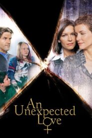 An Unexpected Love 2003 on netflix