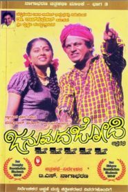 Janumada Jodi 1996 on netflix