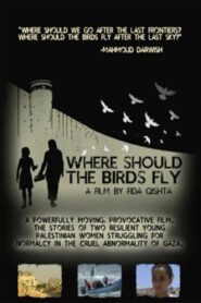 Where Should the Birds Fly? 2013 on netflix