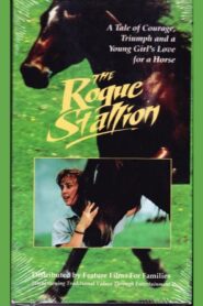 The Rogue Stallion 1990 on netflix