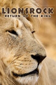Lionsrock: Return Of The King 2014 on netflix