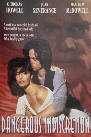 Dangerous Indiscretion 1995 on netflix