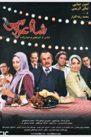 Wedding Dinner 2006 on netflix