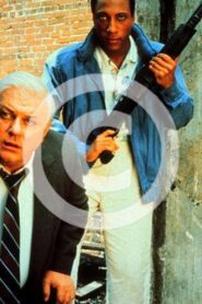 Case Closed 1988 on netflix