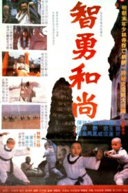 The Little Shaolin Monk 1991 on netflix